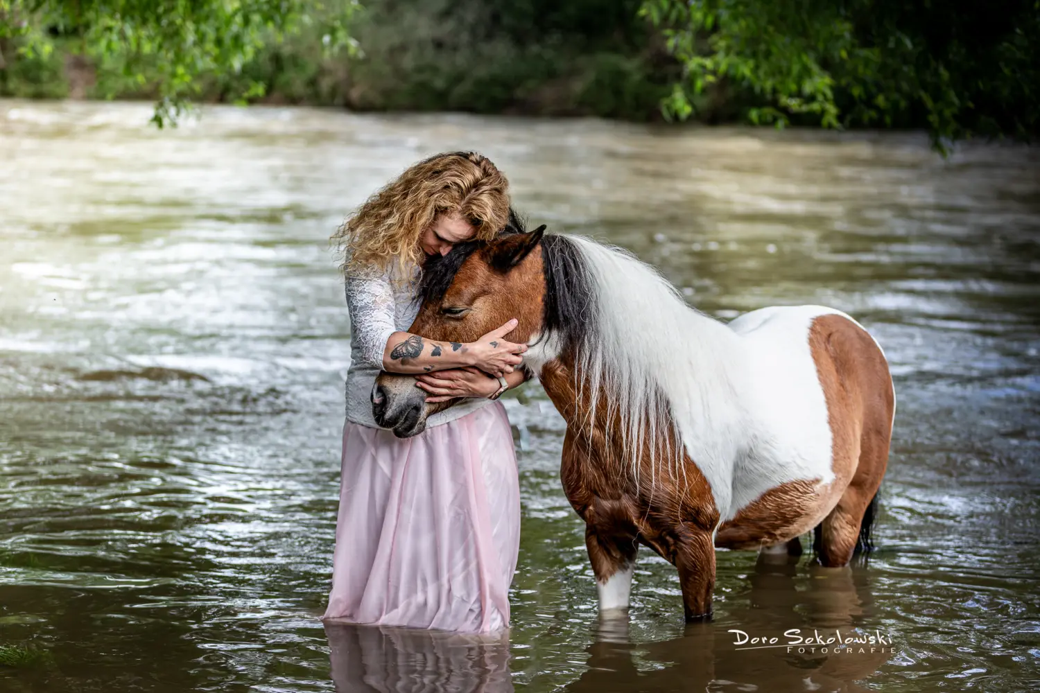 Pferd Doro Sokolowski Fotografie